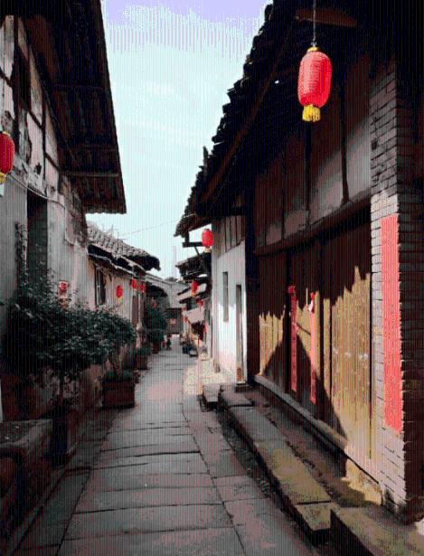 逃出猫头鹰屋